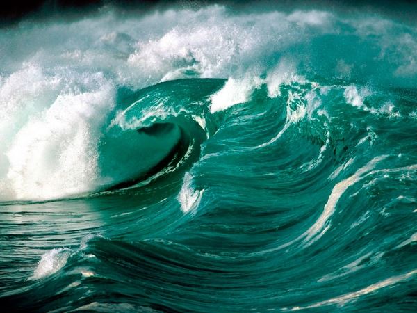Стильные образы цвета морской волны
